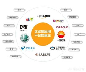 Java與Java開發(fā)工程師在信息系統(tǒng)集成服務領域的現(xiàn)狀與前景